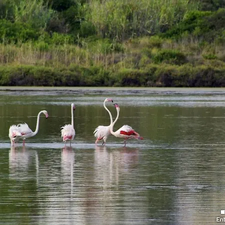 Vh Costablanca - Sabatera Villa *